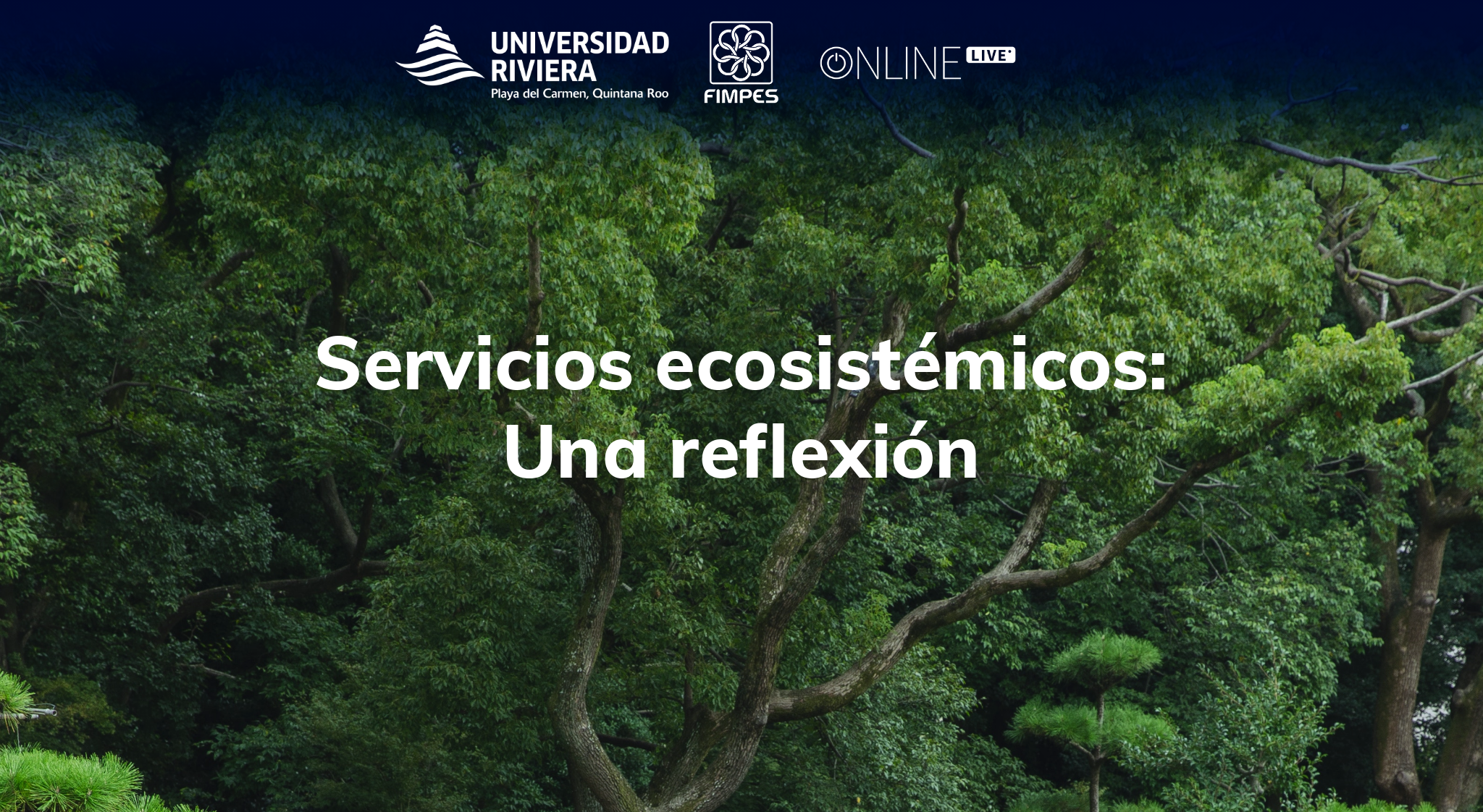 servicios-ecosistemicos-una-reflexion